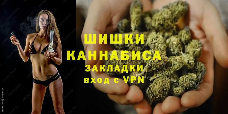 купить закладку  мега   Канабис SATIVA & INDICA  Александровск 